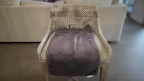 Snapshot of assfucklovee chatting on 16, 12, 2024 assfucklovee online show from 16, 12, 2024