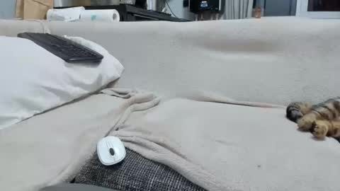 Snapshot of asshunnter chatting on 2, 12, 2025 MARCO online show from 2, 12, 2025