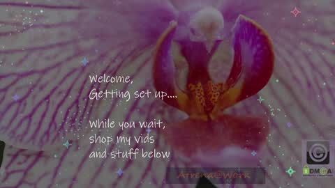 Atrena online show from 14, 4, 2026