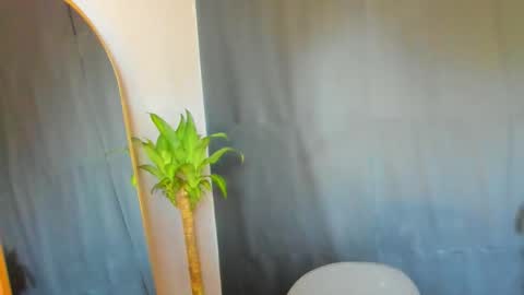 Audry online show from 21, 2, 2026