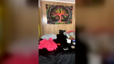 Destiny Nicole online show from 30, 5, 2026
