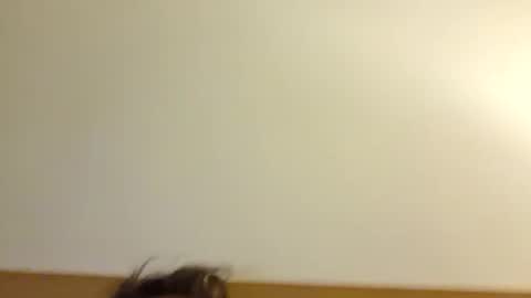 aussie_dadbod6969 online show from 3, 5, 2026