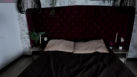 Austin  online show from 12, 3, 2026