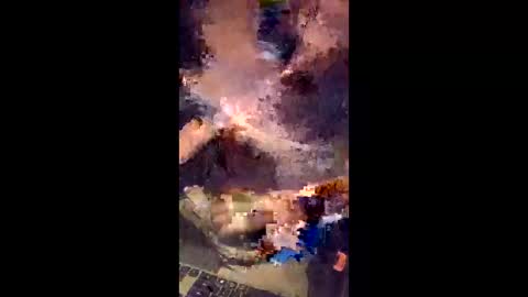 australopithas online show from 3, 4, 2026