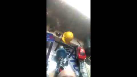 Pluke online show from 26, 1, 2025