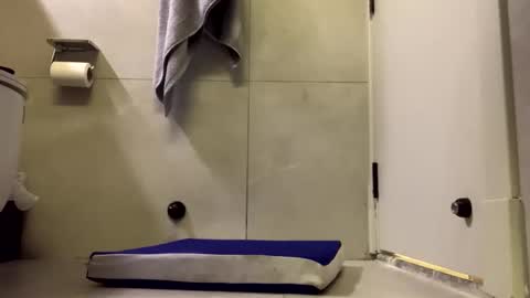 awardy3211 online show from 5, 3, 2026