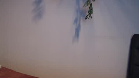 Snapshot of awesome86m chatting on 19, 5, 2026 PiPa online show from 19, 5, 2026