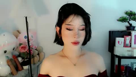 Snapshot of ayahoshilovesyou chatting on 17, 1, 2026 AYAHOSHILOVESYOU online show from 17, 1, 2026