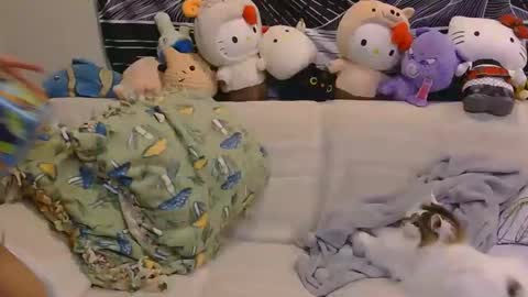 Snapshot of aznp1ea5er chatting on 19, 2, 2026 aznp1ea5er online show from 19, 2, 2026