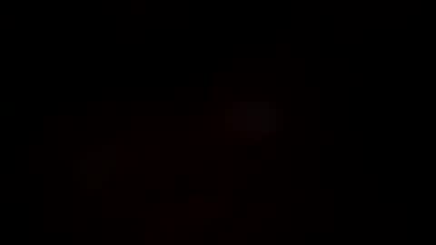 baby bunny  online show from 2, 12, 2025