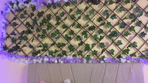 Snapshot of baby_xian chatting on 19, 12, 2024 Dani online show from 19, 12, 2024