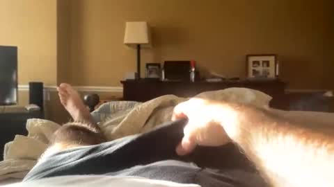 Snapshot of backbay90 chatting on 31, 12, 2024 Backbay90 online show from 31, 12, 2024