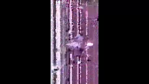 Snapshot of bad_boy2299 chatting on 2, 6, 2026 bad_boy2299 online show from 2, 6, 2026