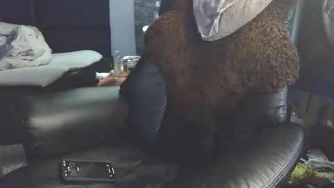 Badboy95 online show from 3, 4, 2026