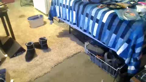 StillPoPimpin online show from 27, 12, 2024