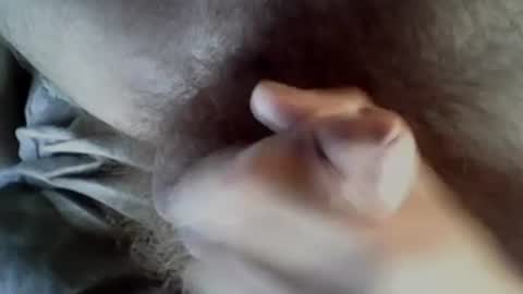 Snapshot of baghiraa chatting on 27, 9, 2025 Baghira online show from 27, 9, 2025