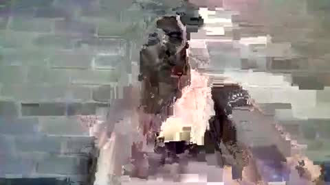 Chaterlain online show from 10, 1, 2025