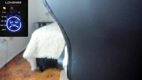 Snapshot of baileyadamss chatting on 17, 2, 2025 IM BAILEY online show from 17, 2, 2025