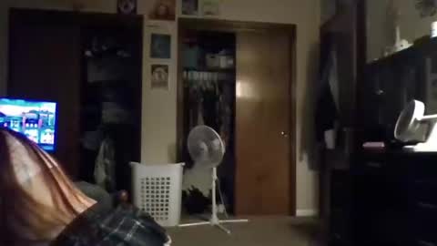 bambibae79 online show from 26, 4, 2026