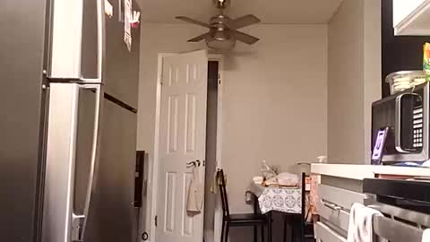 Snapshot of bambihasit chatting on 25, 10, 2025 bambihasit online show from 25, 10, 2025