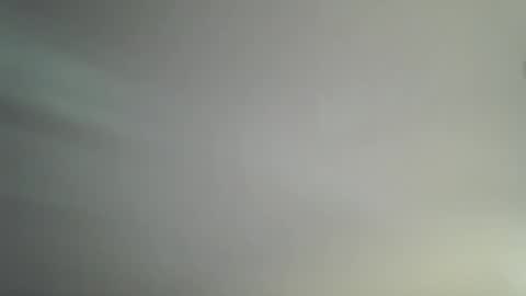 Bambi online show from 14, 4, 2026