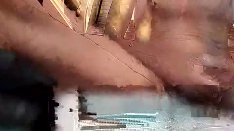 baobabtree8 online show from 15, 10, 2025