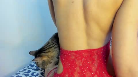 Sarashy online show from 18, 1, 2025