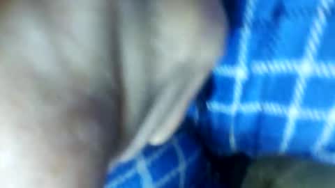 Snapshot of barbitall chatting on 15, 11, 2025 barbitall online show from 15, 11, 2025