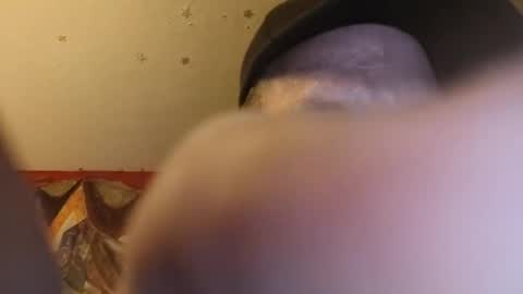 Snapshot of barniemay1 chatting on 28, 6, 2026 barniemay1 online show from 28, 6, 2026