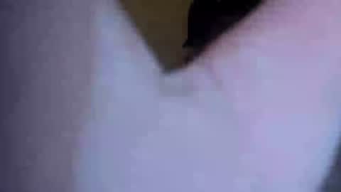 Snapshot of barniemay1 chatting on 5, 7, 2026 barniemay1 online show from 5, 7, 2026