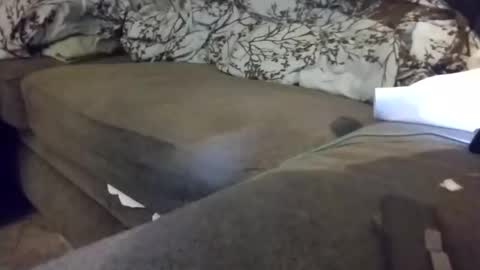 Snapshot of barrett4200 chatting on 20, 1, 2025 barrett4200 online show from 20, 1, 2025