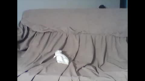 barrysand online show from 11, 11, 2025