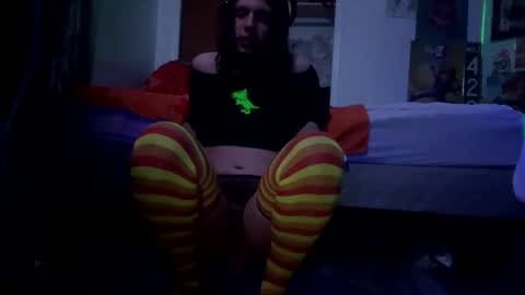 bathingcat online show from 1, 3, 2026