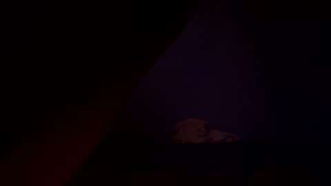 bbc_in_chitwn online show from 15, 12, 2024