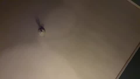 bbc_in_chitwn online show from 31, 1, 2025