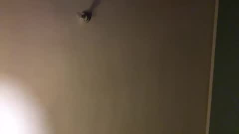 bbc_in_chitwn online show from 1, 2, 2025