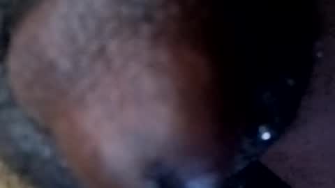 Snapshot of bcfalcon69 chatting on 30, 4, 2026 bcfalcon69 online show from 30, 4, 2026
