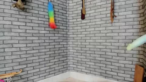 Meduza  online show from 29, 11, 2025