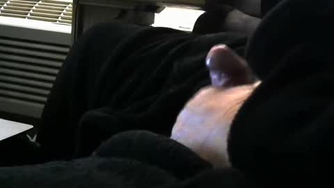 Snapshot of bear4146 chatting on 29, 3, 2026 bear4146 online show from 29, 3, 2026