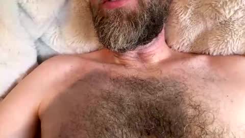 Snapshot of beard_papa chatting on 10, 3, 2026 beard_papa online show from 10, 3, 2026