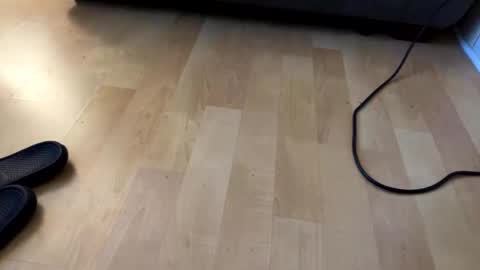 beard online show from 6, 12, 2024