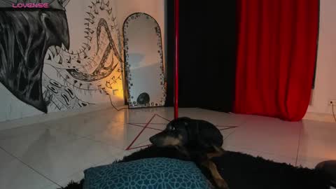 Daniela  ur fav living dead girl  online show from 5, 1, 2025