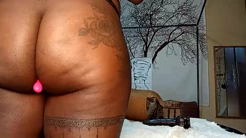 beencee2 online show from 6, 11, 2025