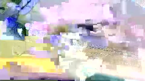 beencee2 online show from 9, 3, 2026