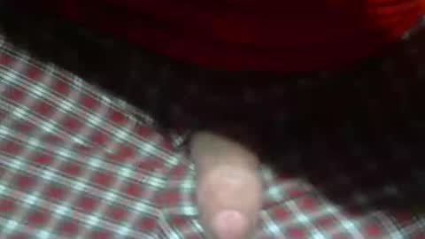 Snapshot of beer27 chatting on 5, 2, 2026 Reservoir Dogs online show from 5, 2, 2026