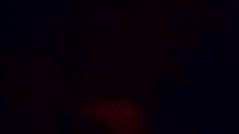 beesexy47 online show from 17, 12, 2025