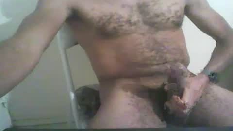 Snapshot of beezobb chatting on 8, 3, 2025 beezobb online show from 8, 3, 2025