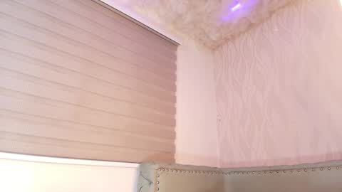 Snapshot of begoniia_ chatting on 28, 12, 2024 Begonia online show from 28, 12, 2024