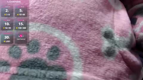 Snapshot of bekkasquirt chatting on 1, 1, 2025 bekkasquirt online show from 1, 1, 2025