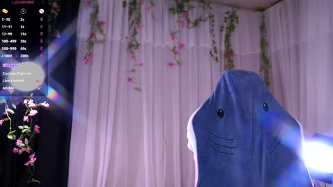 In instagran bel myangel online show from 14, 4, 2026